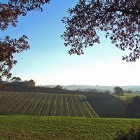 Croisière d'Artagnan Tourisme fluvial sur la Baïse : La Ténarèze