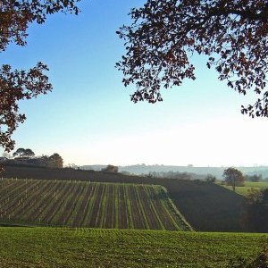Croisière d'Artagnan Tourisme fluvial sur la Baïse : La Ténarèze